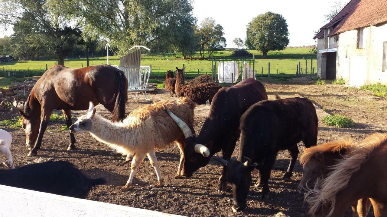La Ferme Aux Kangourous Donzy Dış mekan fotoğraf